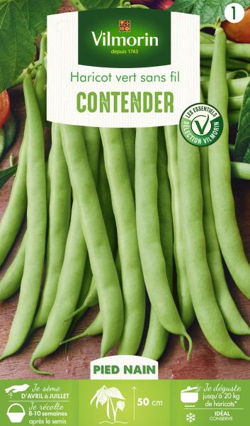 Légumes Secs - Haricot Nain Vert Contender - PACKAGING_RECTO